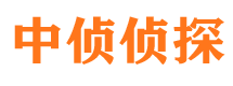 洪山市场调查